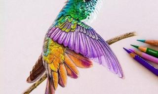 世界上最牛的立体画