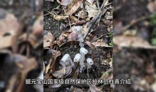 _ 起死回生的“烂尾楼” 2023年全国烂尾楼清零