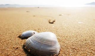 威海乳山银滩海景房