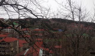 上海旅游攻略两日游