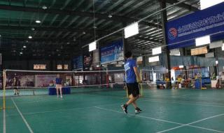 羽毛球有多少根羽毛