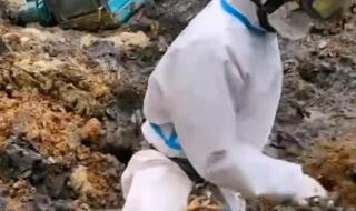 东航坠机事故调查进展