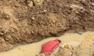 中国情侣柬埔寨遇害